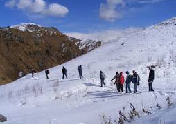 Dodital Trek